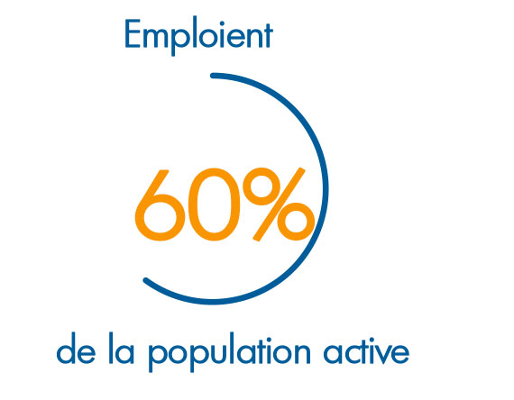 POLARIS_Infographie_Francais_Limerick_15